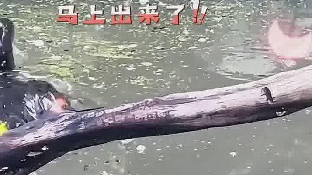 不是，就一个字儿还能听出来口音啊