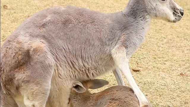 祝全天下母亲节日快乐！爱您不止今天...