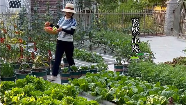 待我了无牵挂，找个小院为家#田园生活