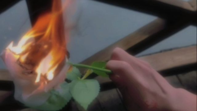 “凌晨四点 我看见海棠花未眠”