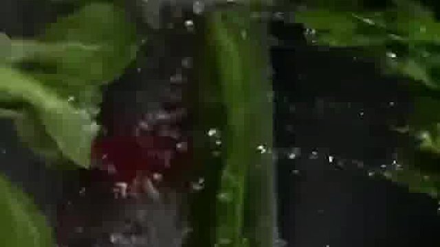 活了大半辈子也想不明白