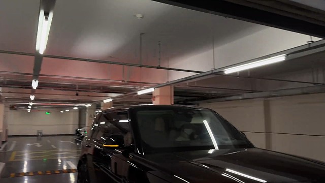 有朝一日龙抬头 定叫长江水倒流.