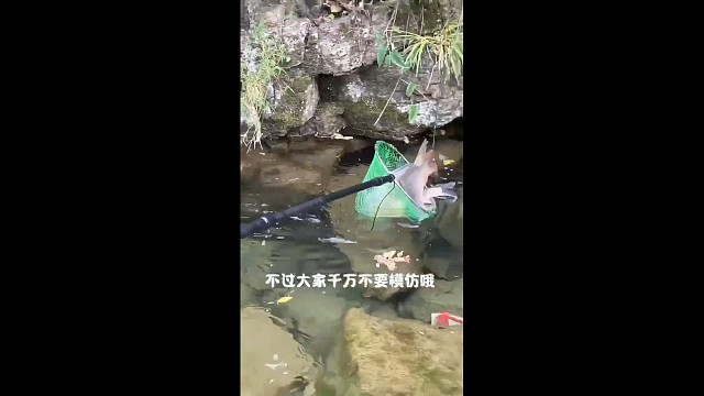 越南小哥户外抓鱼