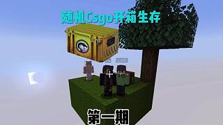 Csgo開箱生存