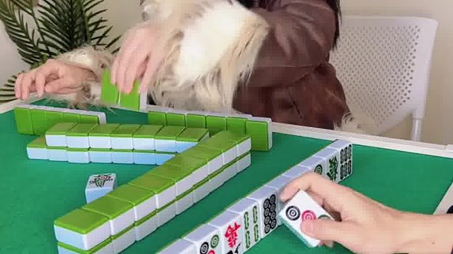 没办法运气来了挡都挡不住