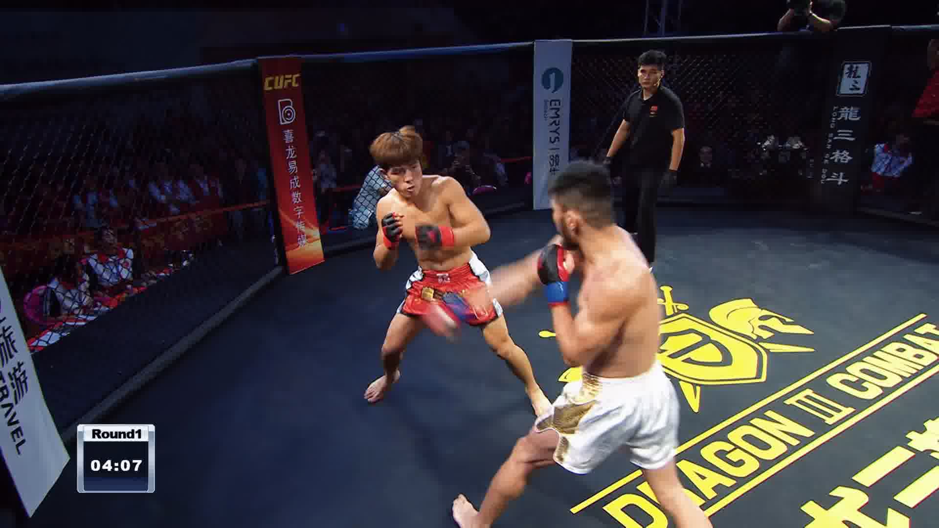 龙三格斗环球拳王巡回赛