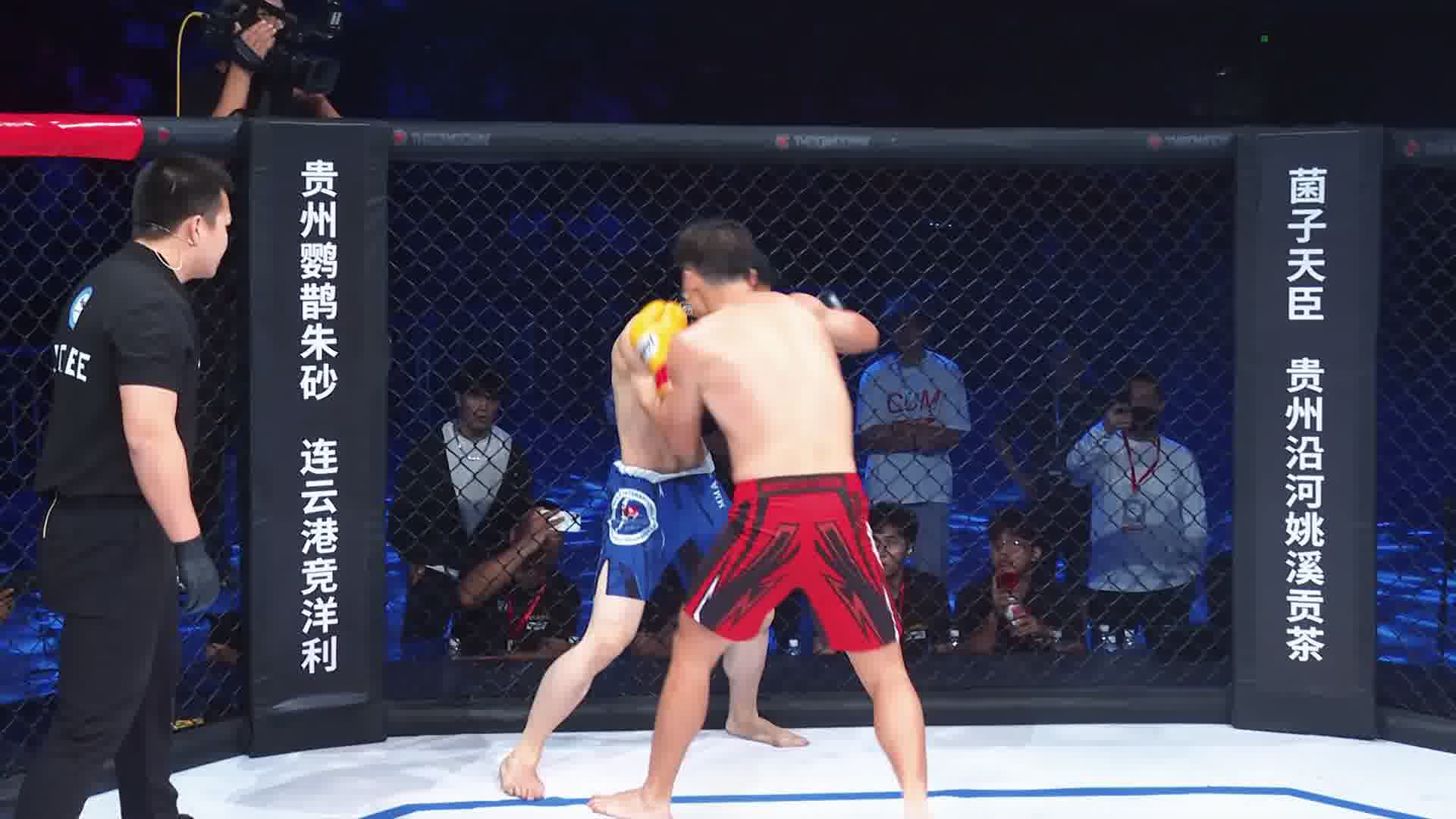 龙三格斗环球拳王巡回赛