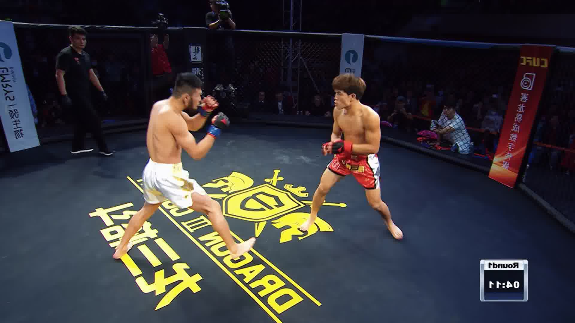 龙三格斗环球拳王巡回赛