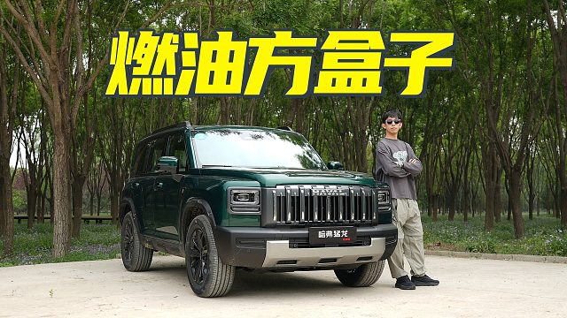 纯燃油方盒子 哈弗猛龙行不行？