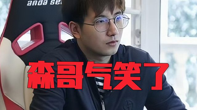 森哥：那你想听我说什么呢，哎解散了解散了我不打了，我的3号位太菜了，说这些没意义啊有什么意义呢！