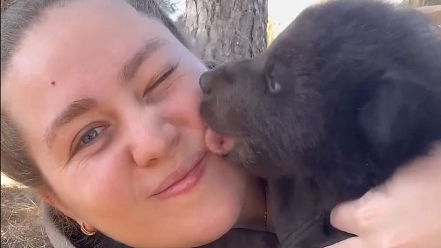 小熊宝宝是个亲亲怪！