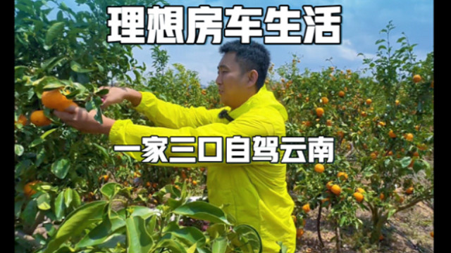 理想房车生活，摘沃柑，淘玛瑙，赶集市，营地支起饕餮盛宴