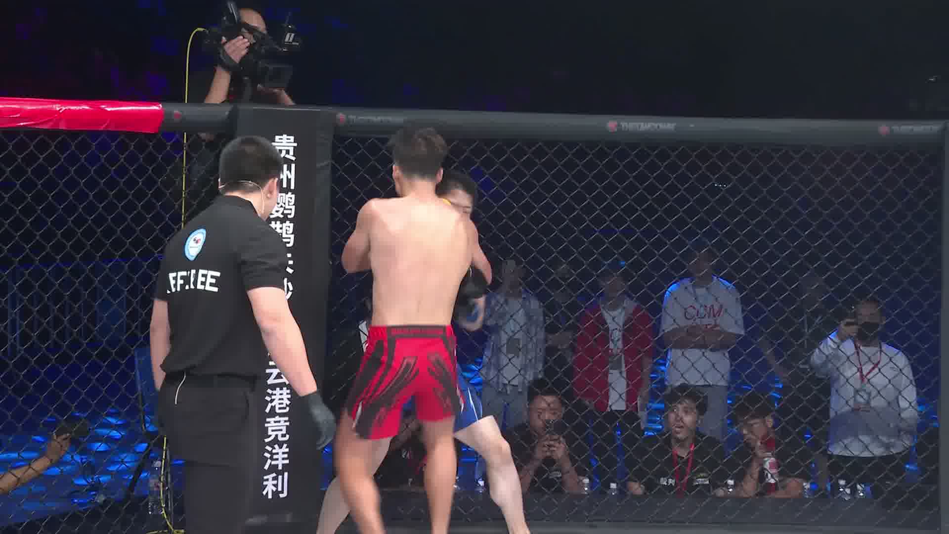 龙三格斗环球拳王巡回赛