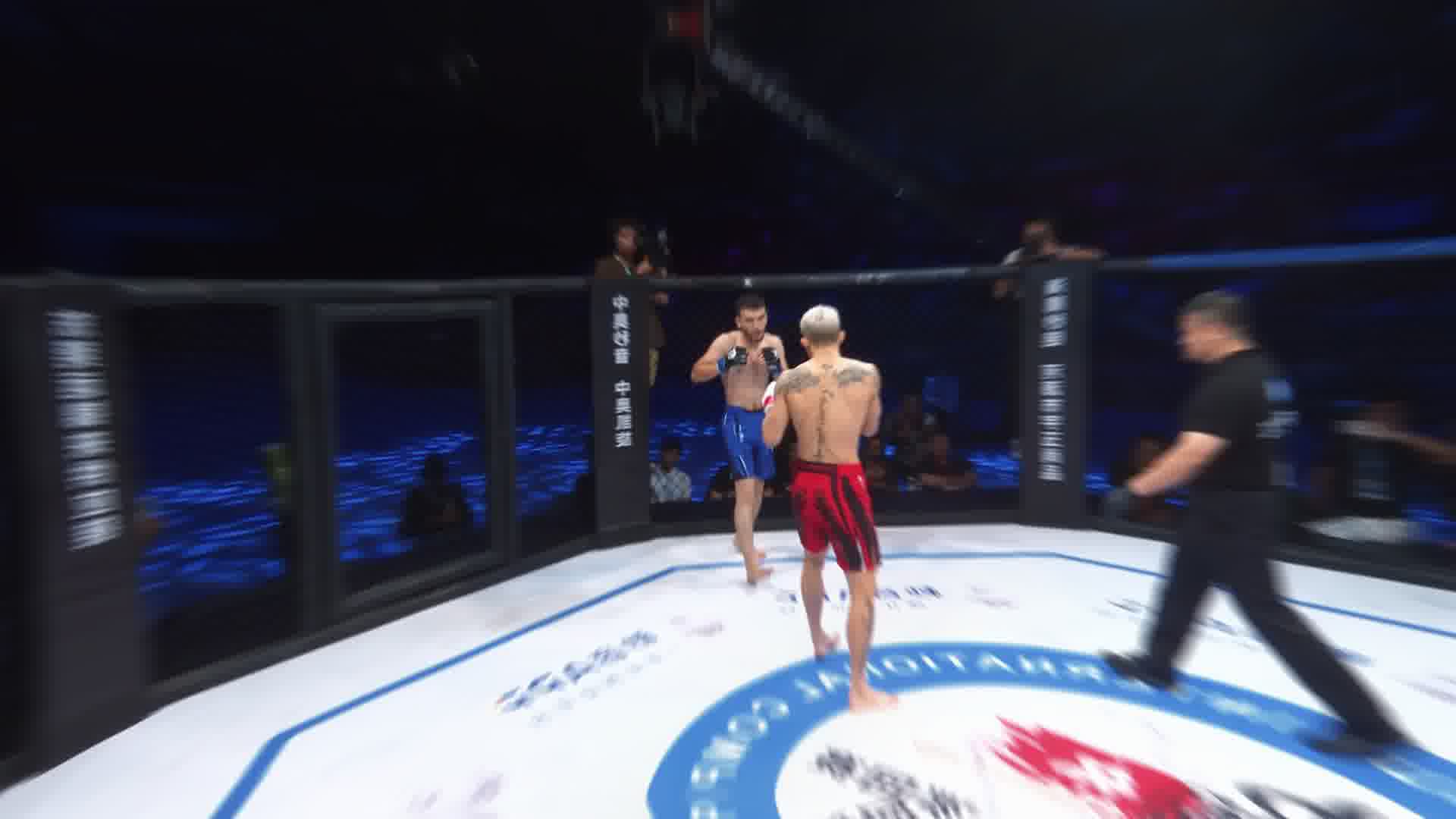 龙三格斗环球拳王巡回赛