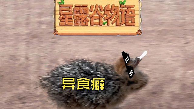 鸵鸟只爱华子，全员异食癖【真人星露谷】