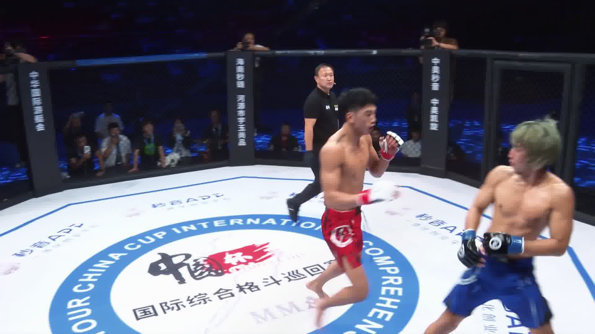 龙三格斗环球拳王巡回赛