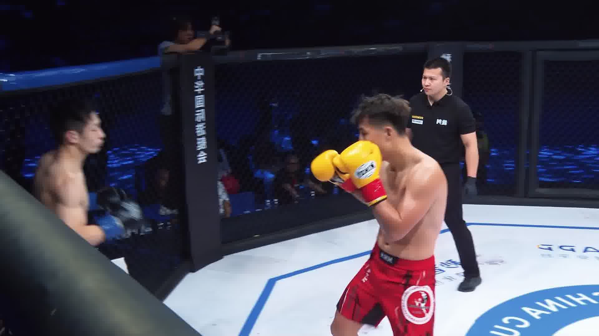 龙三格斗环球拳王巡回赛