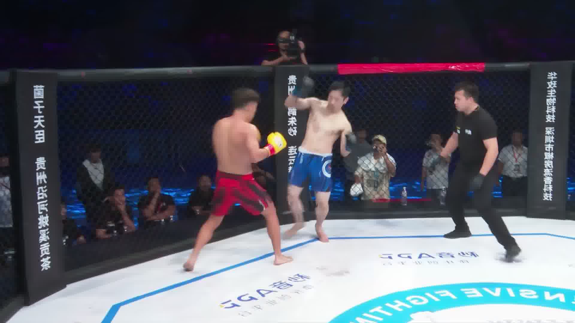 龙三格斗环球拳王巡回赛