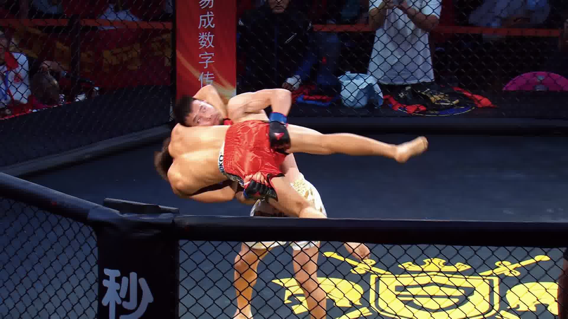 龙三格斗环球拳王巡回赛