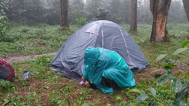 森林里的越下越大，努力的顶着倾盆暴雨，撑起帐篷躲在里面露营