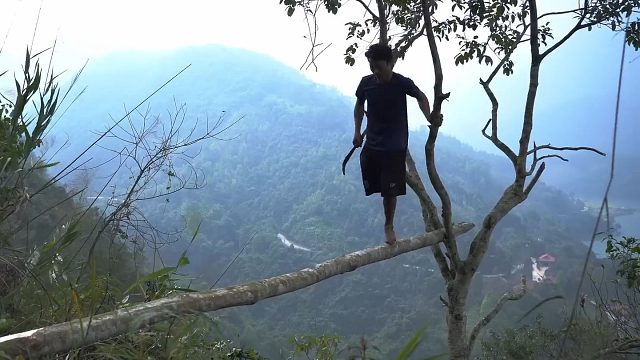 这大哥才是个绝顶牛人，敢在几米高空架树屋，还能单腿过独木桥