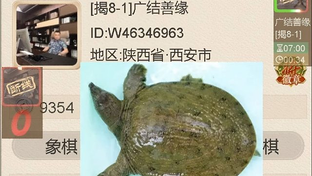 揭棋-陕西西安断线狗-广结善缘-但求断线. 苟活的畜生.白白了. 来世记得做人