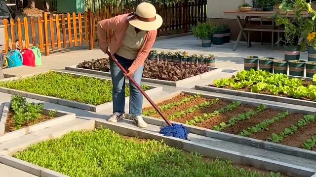 这种小院生活，是你喜欢的吗？#田园生活