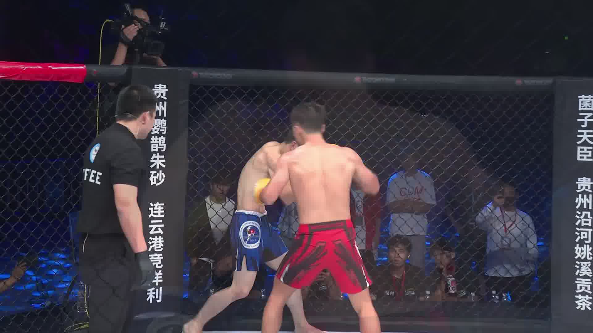 龙三格斗环球拳王巡回赛