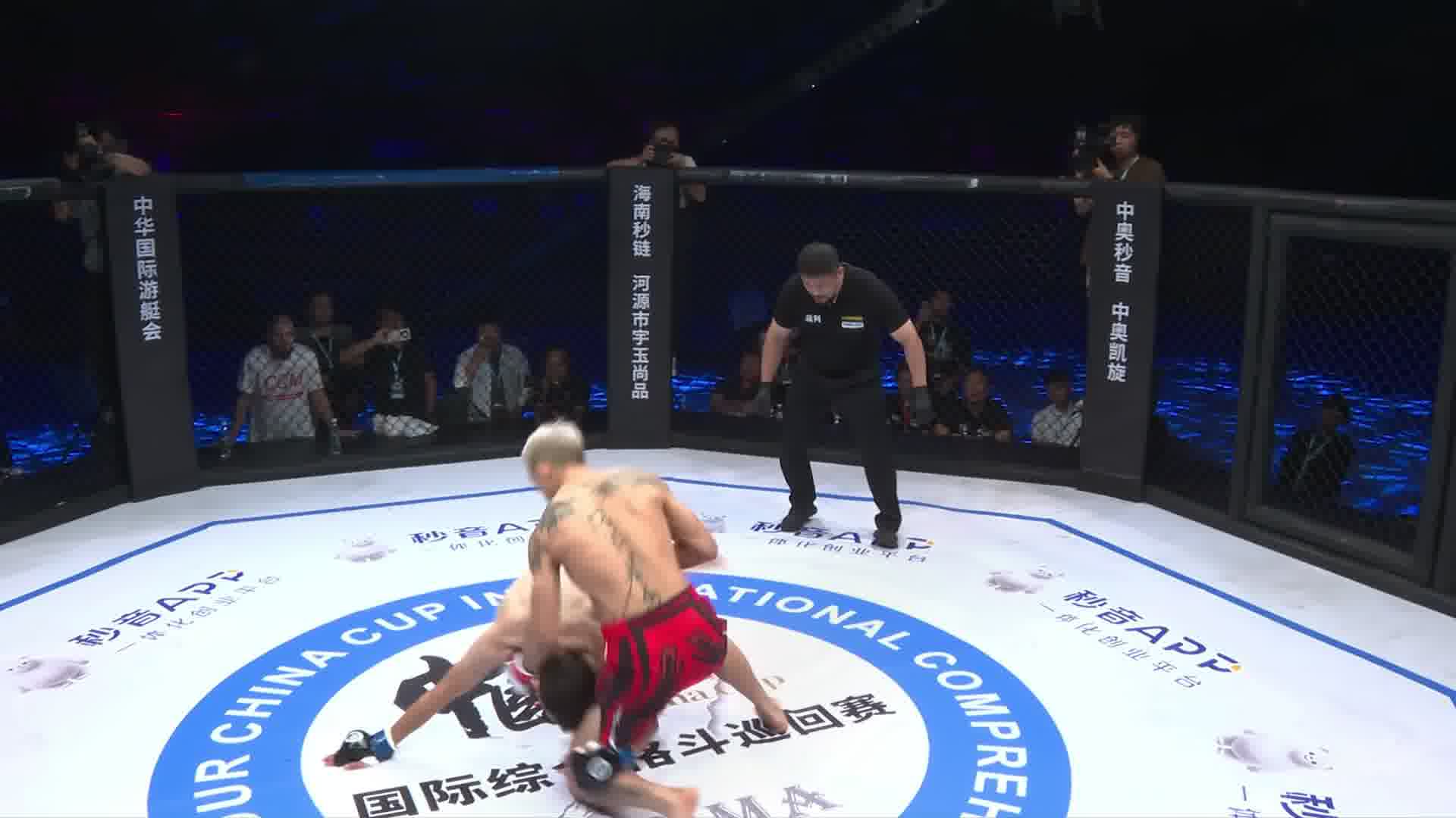 龙三格斗环球拳王巡回赛