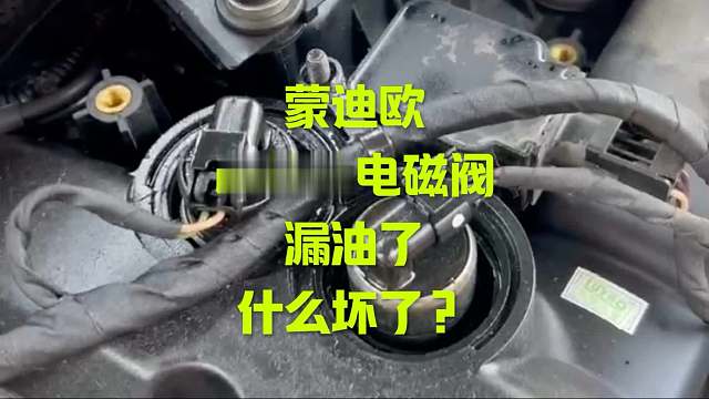 福特蒙迪欧凸轮轴电磁阀漏油怎么办？