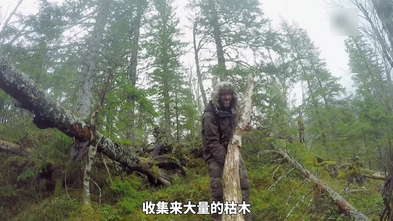 德爷挪威极圈荒野求生，吃贻贝象拔蚌，实现海鲜自由！(3)