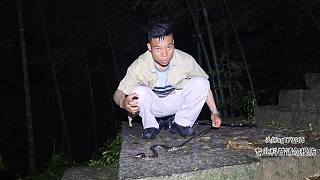 浙江行第一站，期待新蛇種-片段2