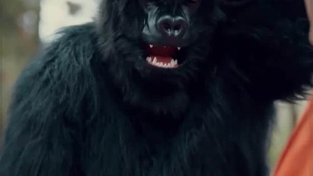 怀了王爷的孩子，还是多胞胎，谁想到王爷成了压寨夫人第一集