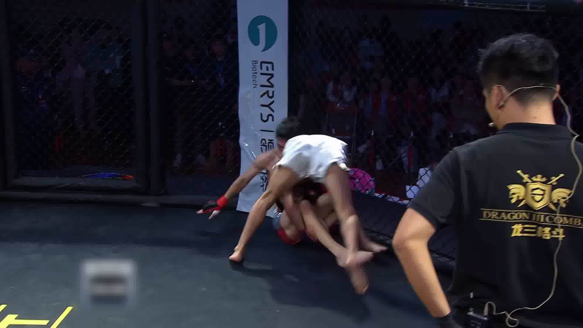 龙三格斗环球拳王巡回赛