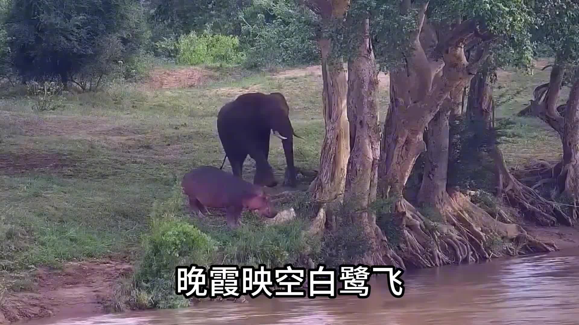 小河流水哗啦啦