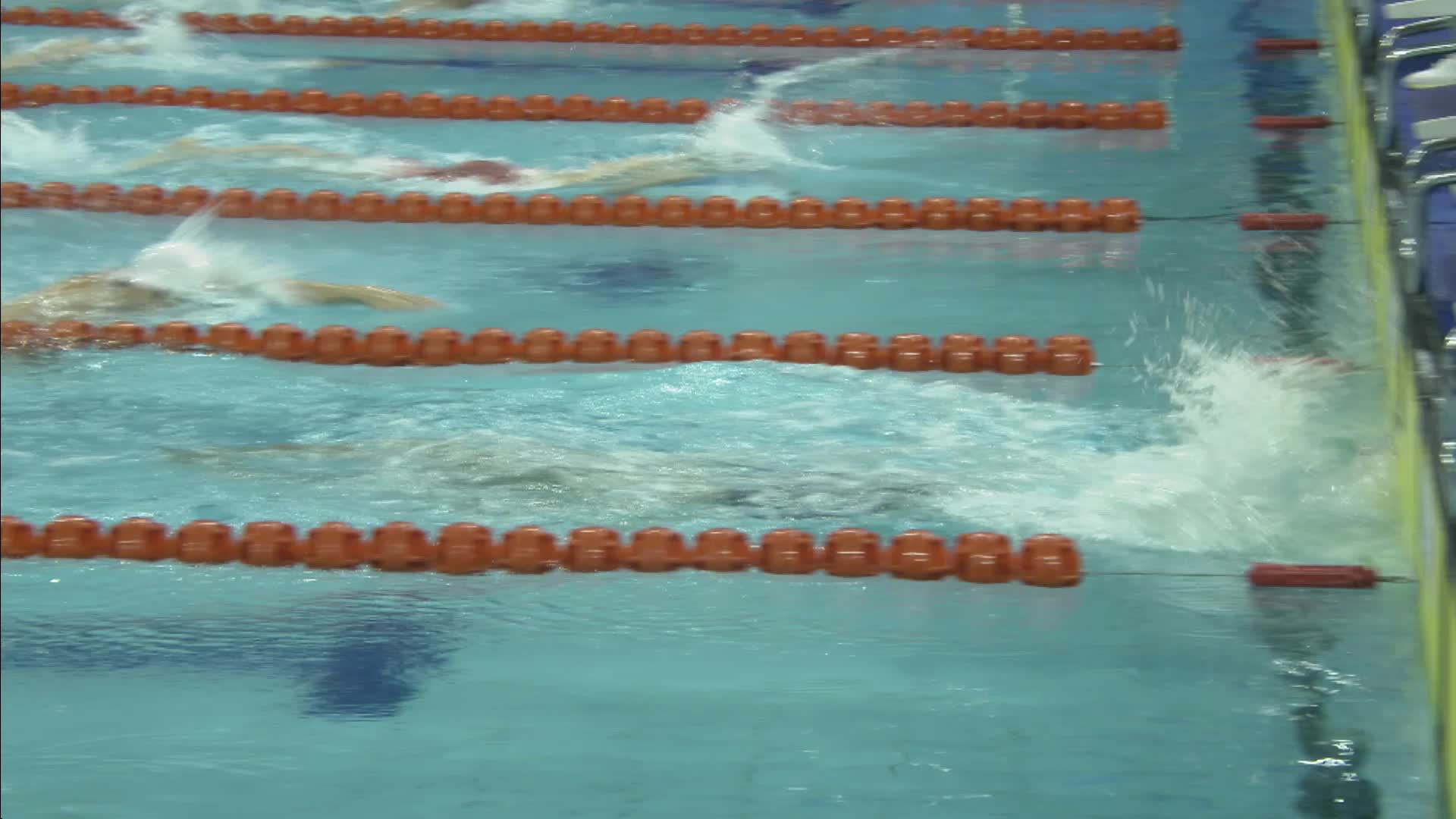 [直播]2025年全国游泳冠军赛