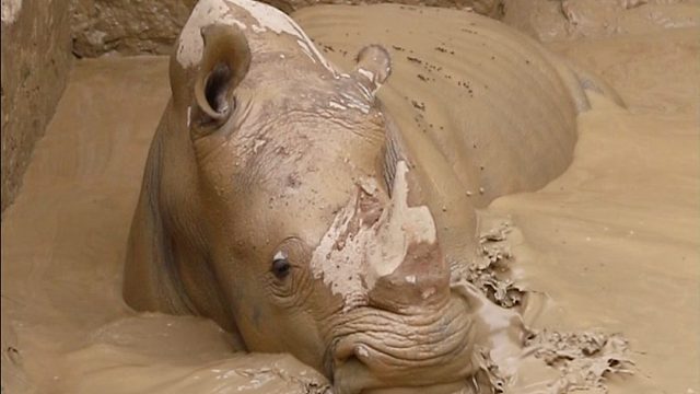 夏天与泥坑SPA更配哦~