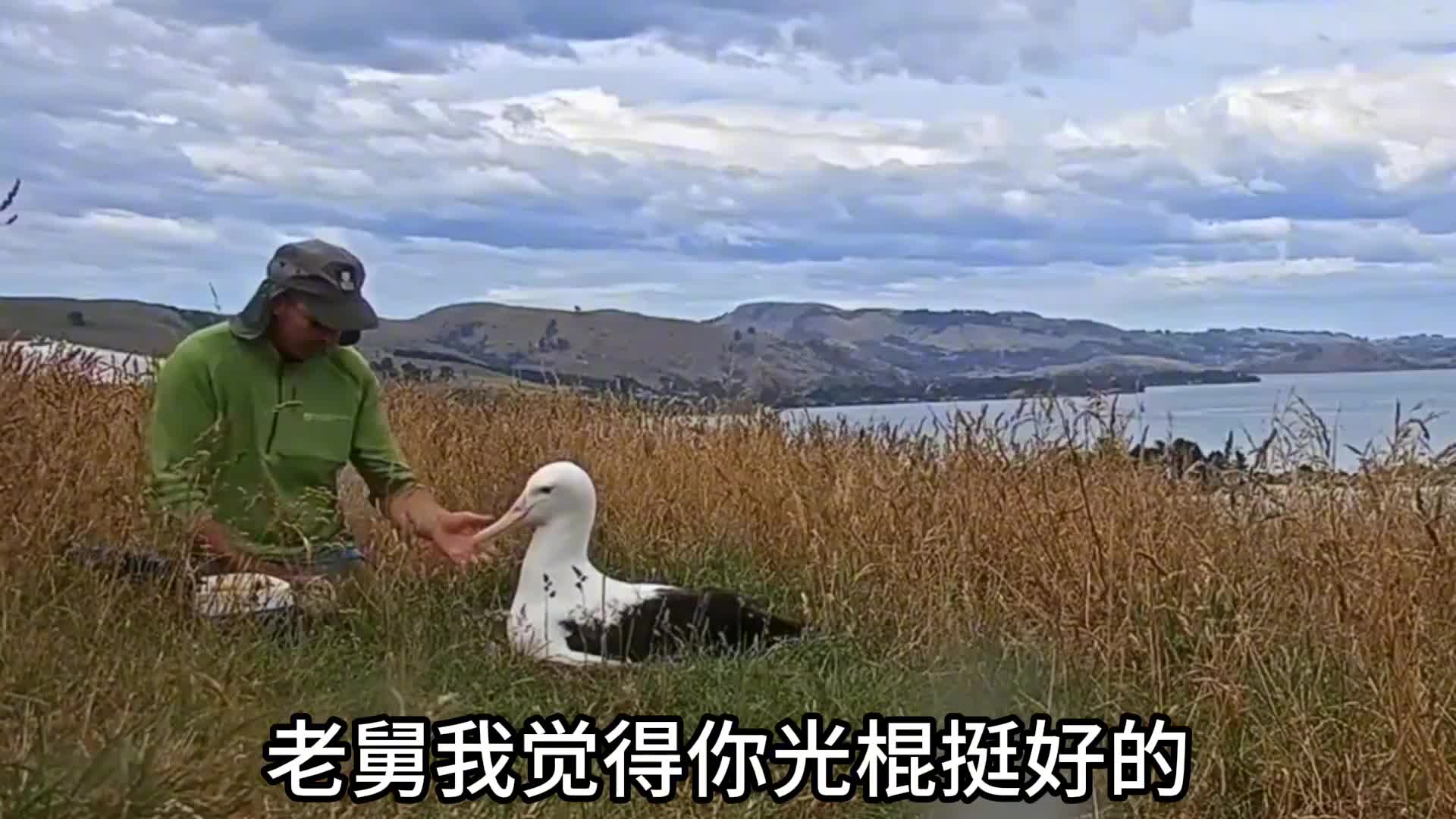 这咋还抱怨上了呢