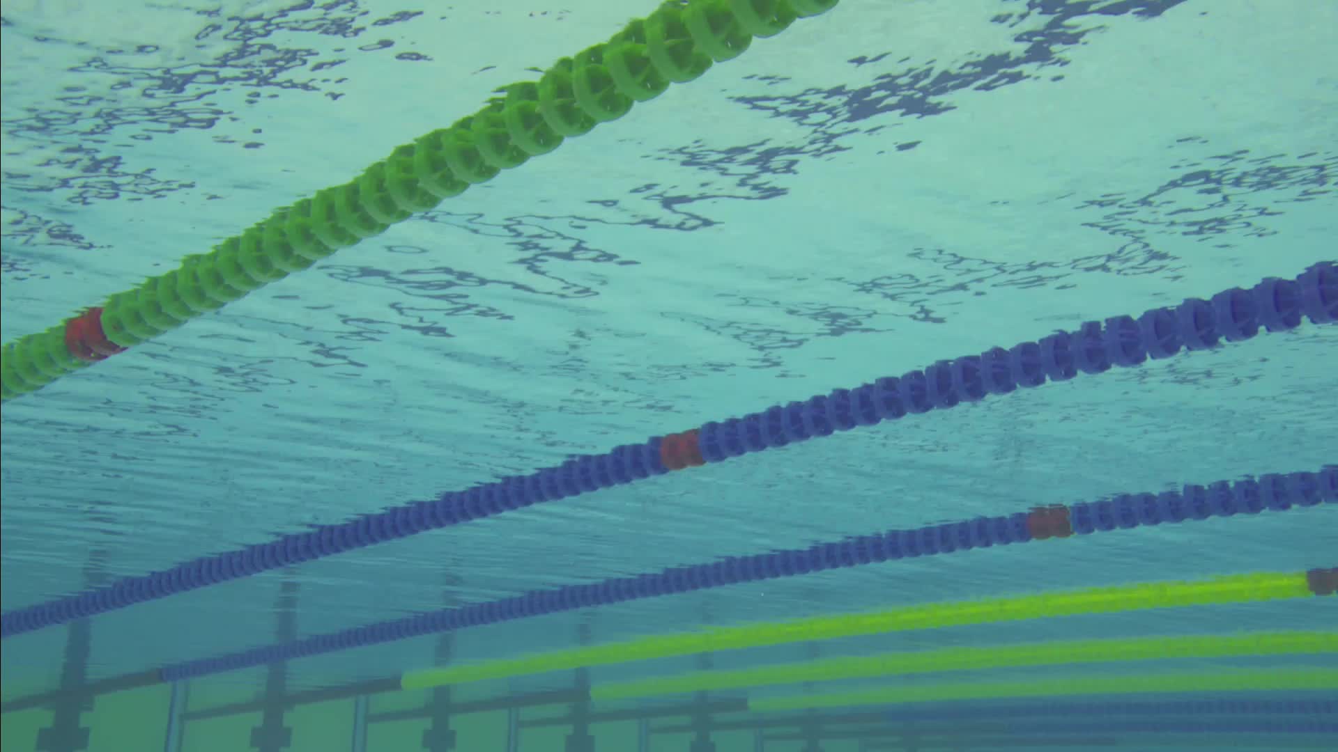 [直播]2025年全国游泳冠军赛