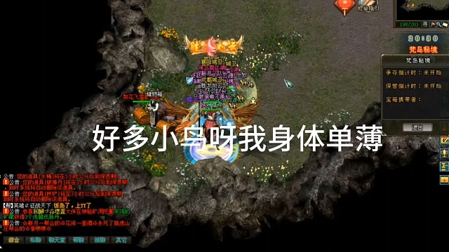 剑侠情缘网络版「剑网1」好多小鸟呀我身体单薄「城北大叔」