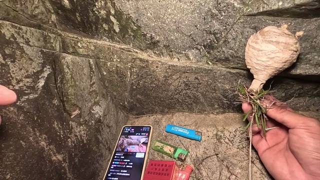 钓鱼路遇什么蜂