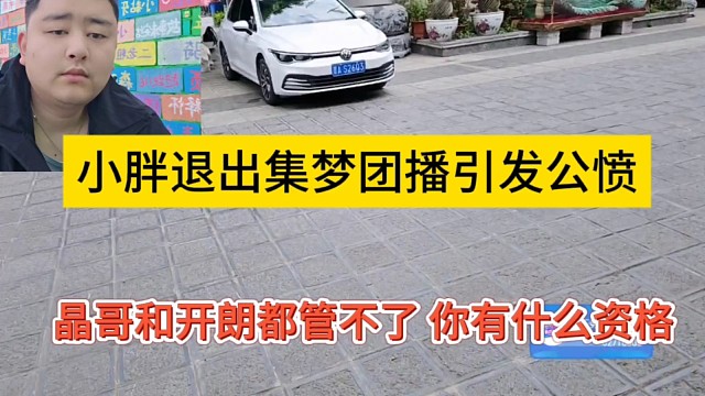 晶哥和开朗都管不了我，你有什么资格，小胖退出团播引发公愤