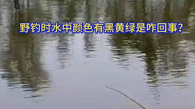 野钓时水中颜色有黑黄绿是咋回事？