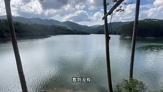 打窩喂魚的第一天全是小翹嘴