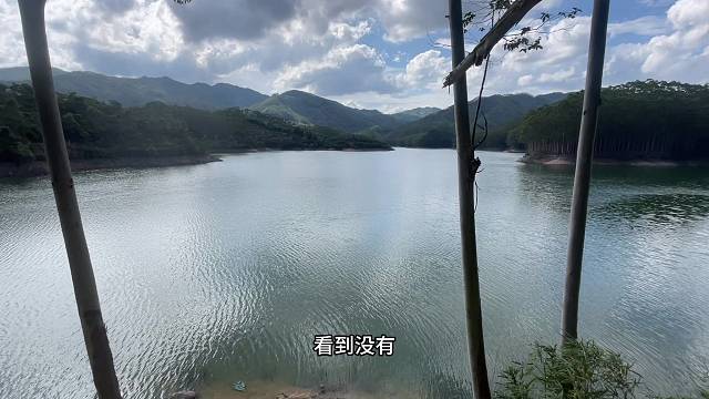 打窝喂鱼的第一天全是小翘嘴