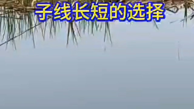 子线长短的选择