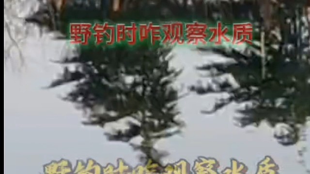 野钓时咋观察水质