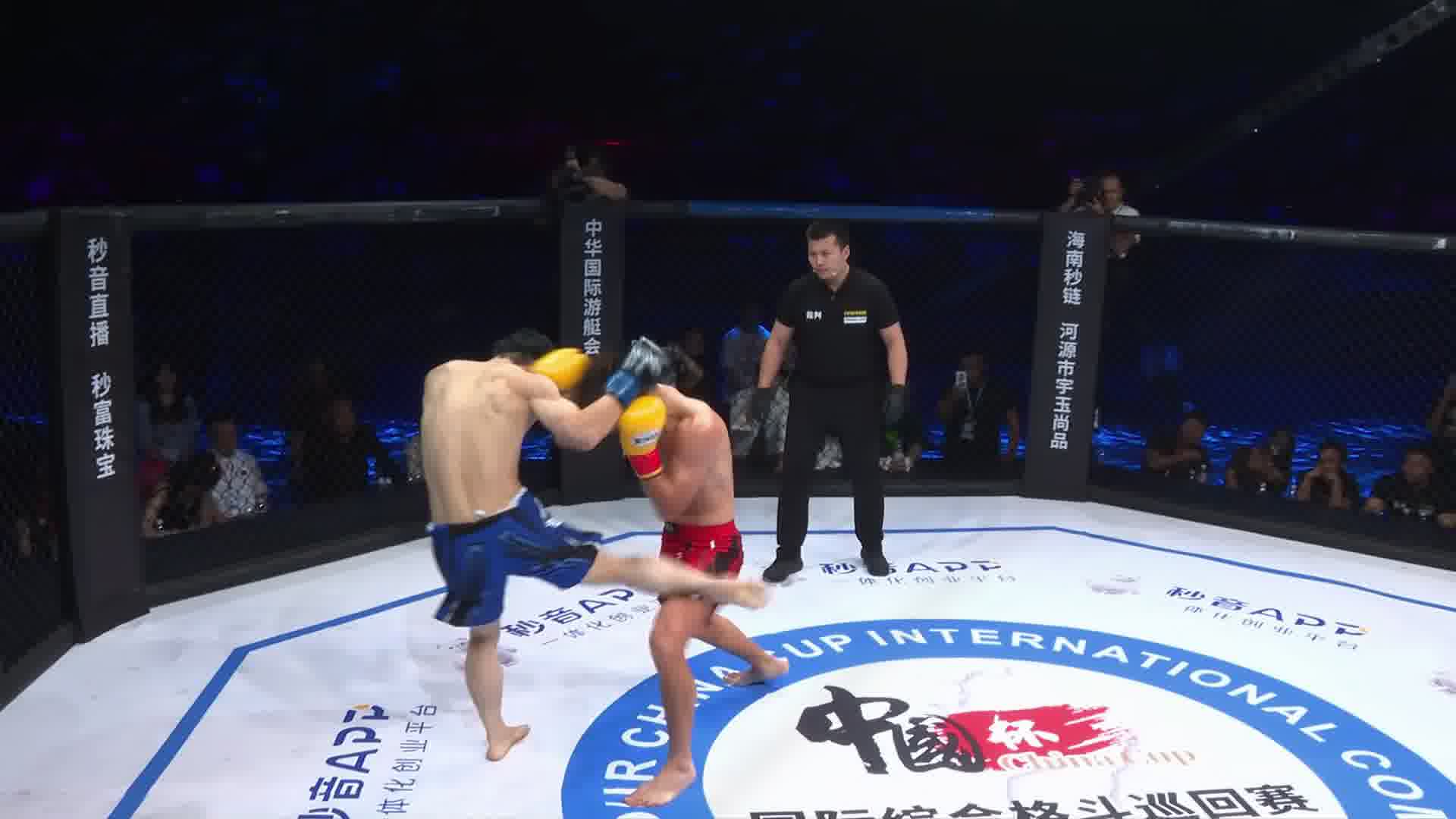 龙三格斗环球拳王巡回赛