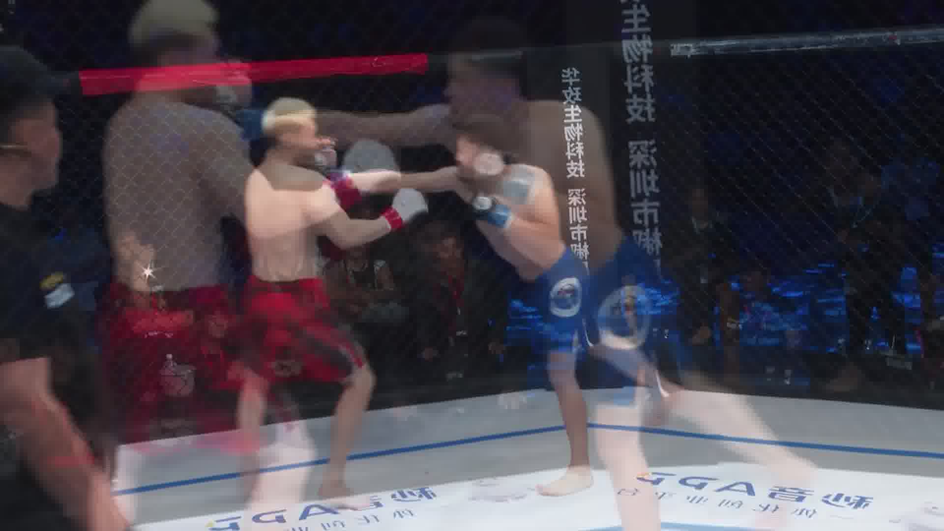 龙三格斗环球拳王巡回赛