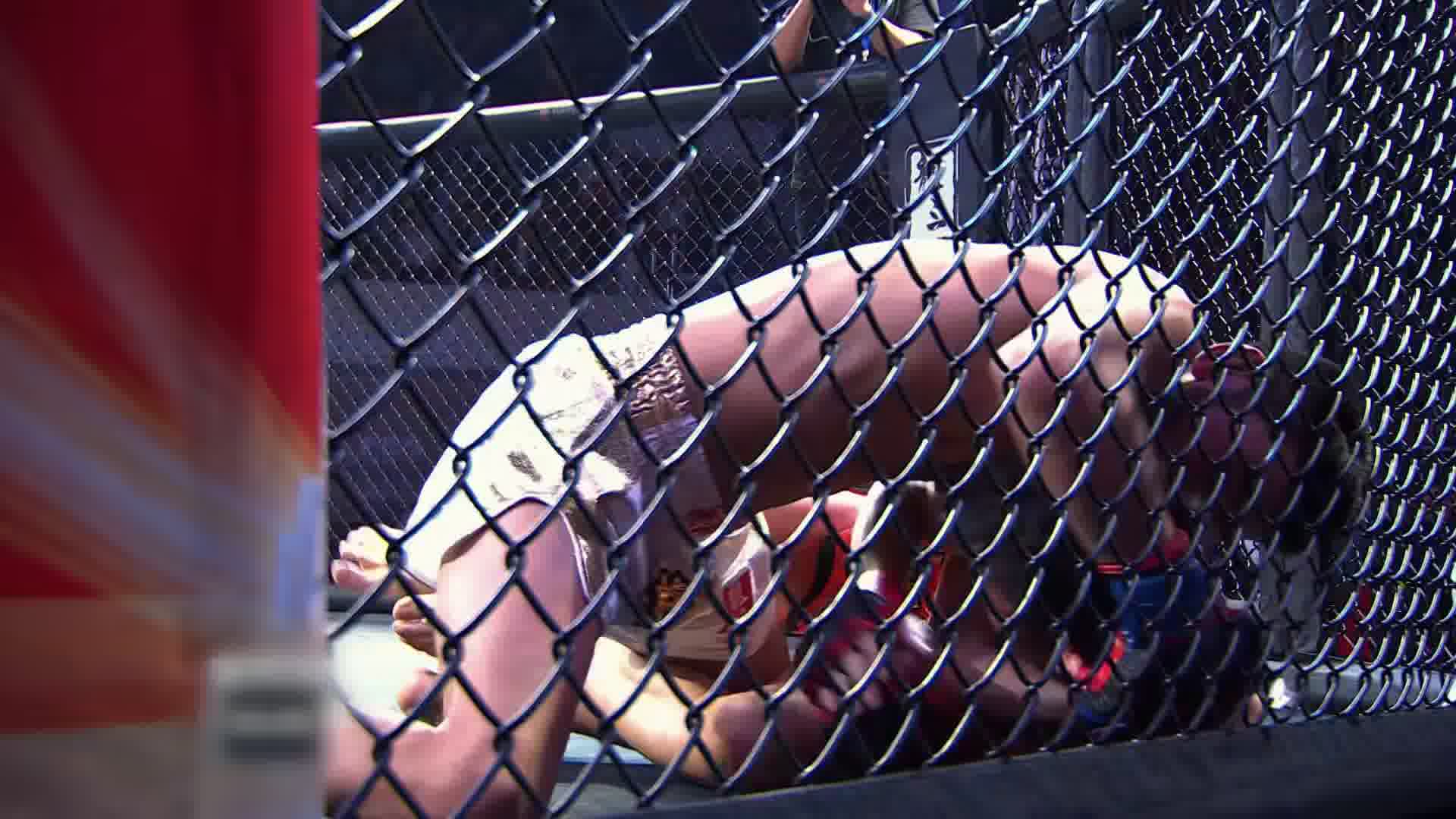 龙三格斗环球拳王巡回赛